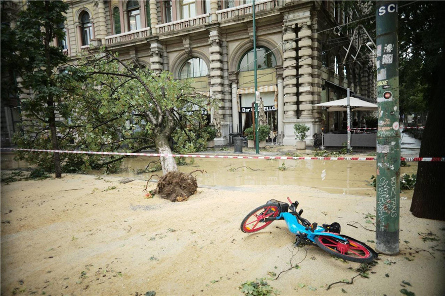 ICphoto(qun)ƷՈ(qng)D(zhun)d