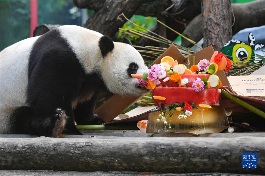 730ڶ_˹Ī˹Ƅ(dng)@؈⡱áյ⡱Aӛ  z