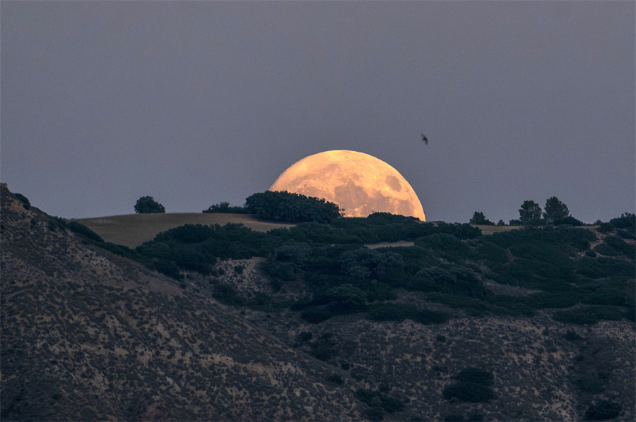 ICphoto(qun)ƷՈ(qng)D(zhun)d