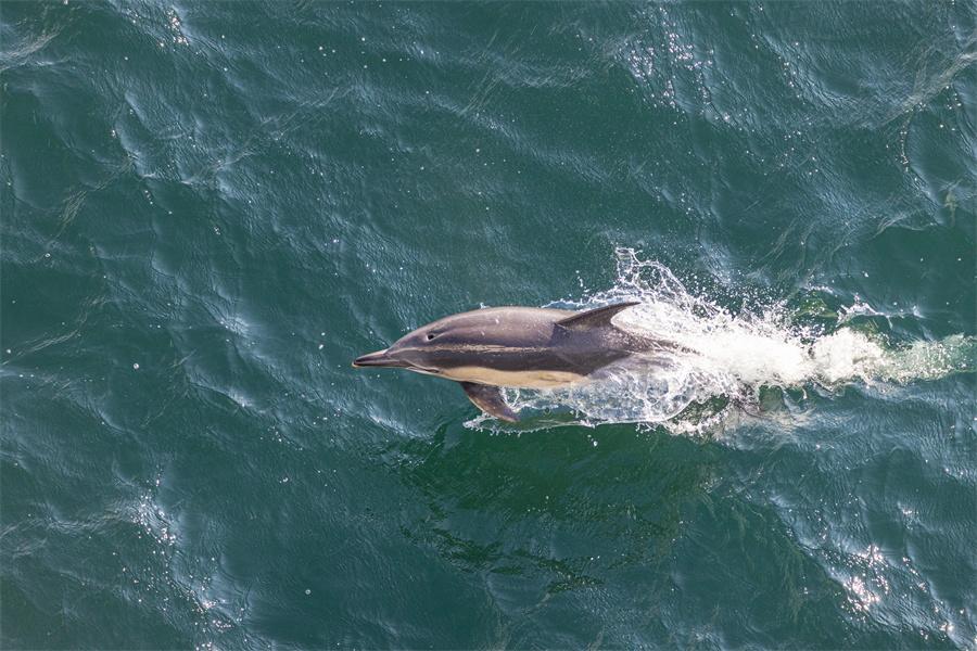 ICphoto(qun)ƷՈ(qng)D(zhun)d