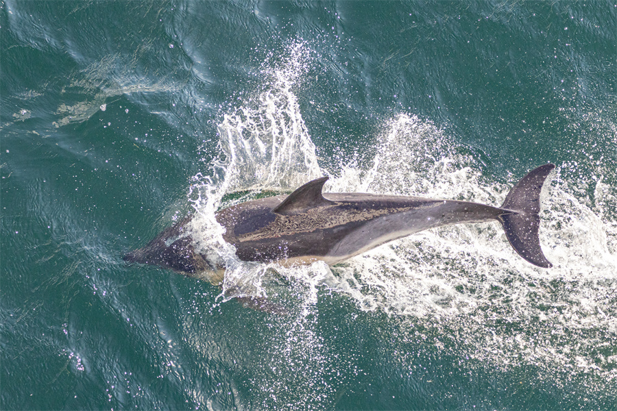 ICphoto(qun)ƷՈD(zhun)d