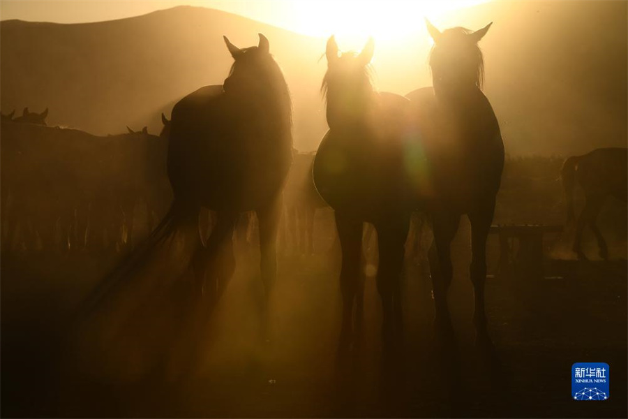 @85_ʡKχҹ@ĔzRȺAl(f)˹z