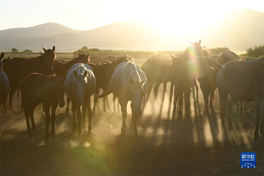 @85_ʡKχҹ@ĔzRȺAl(f)˹z