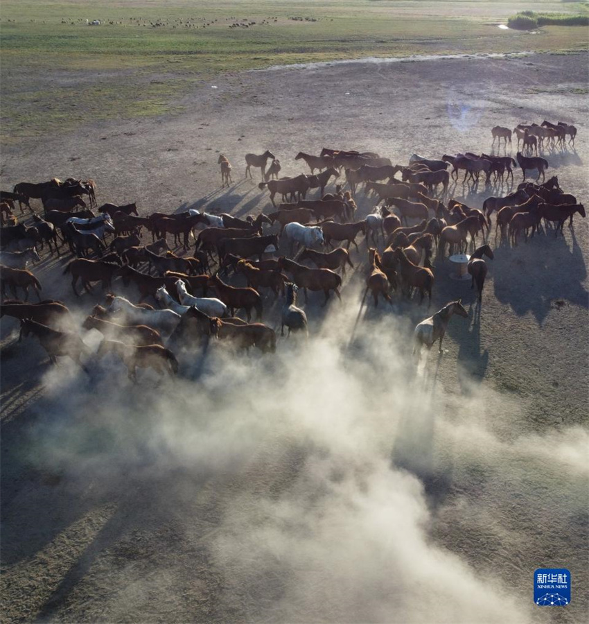 @85_ʡKχ(gu)ҹ@ĵRȺo(w)˙C(j)ƬAl(f)˹z