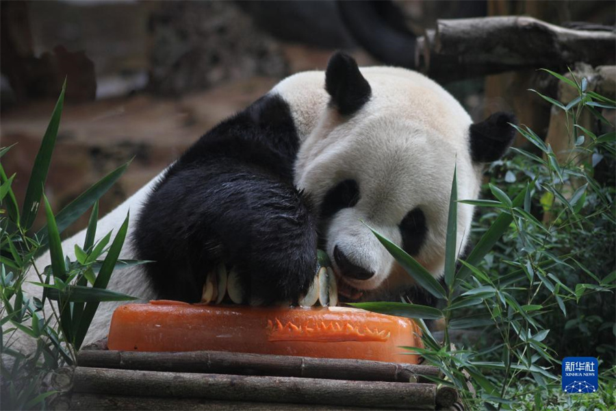 85ӡïӡҰ@؈աáյ⡱Al(f)ɣϿz