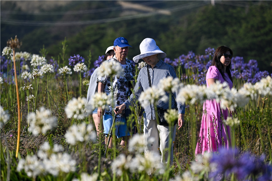 ICphoto(qun)ƷՈ(qng)D(zhun)d