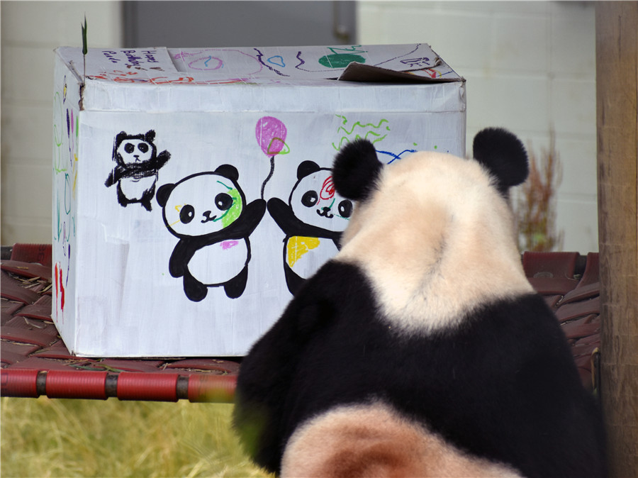 ICphoto(qun)ƷՈD(zhun)d