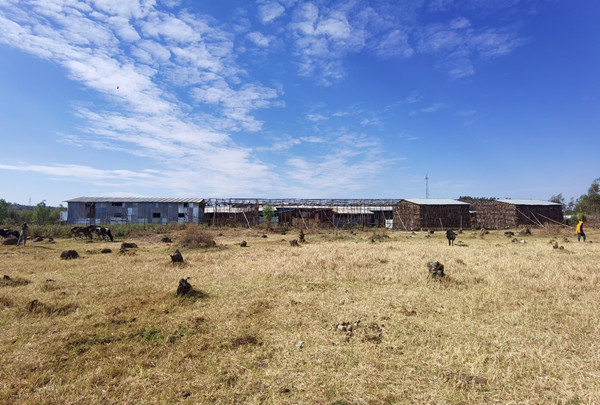 ȁyаͺ_(d)йL(du)󹩈D