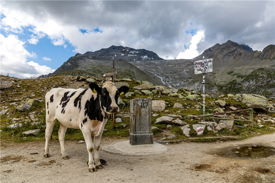 IC photo(qun)ƷՈD(zhun)d