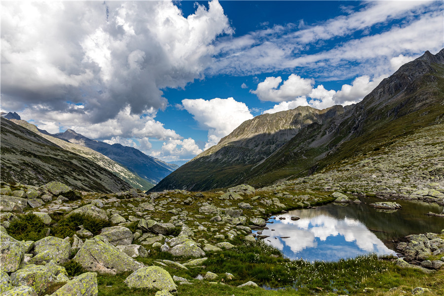 IC photo(qun)ƷՈD(zhun)d