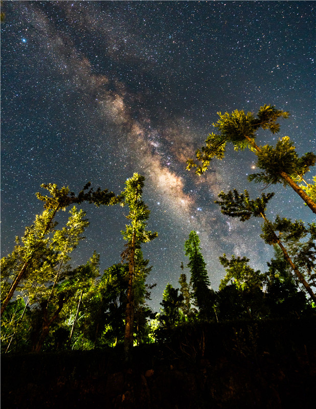 IC photo(qun)ƷՈD(zhun)d