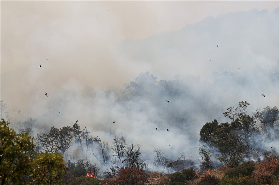 ICphoto(qun)ƷՈ(qng)D(zhun)d