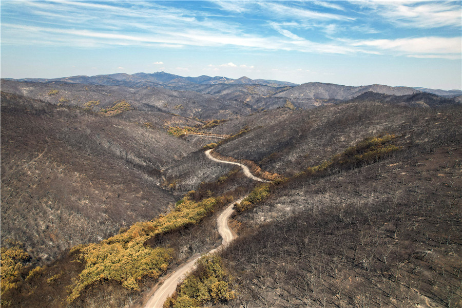 ICphoto(qun)ƷՈ(qng)D(zhun)d