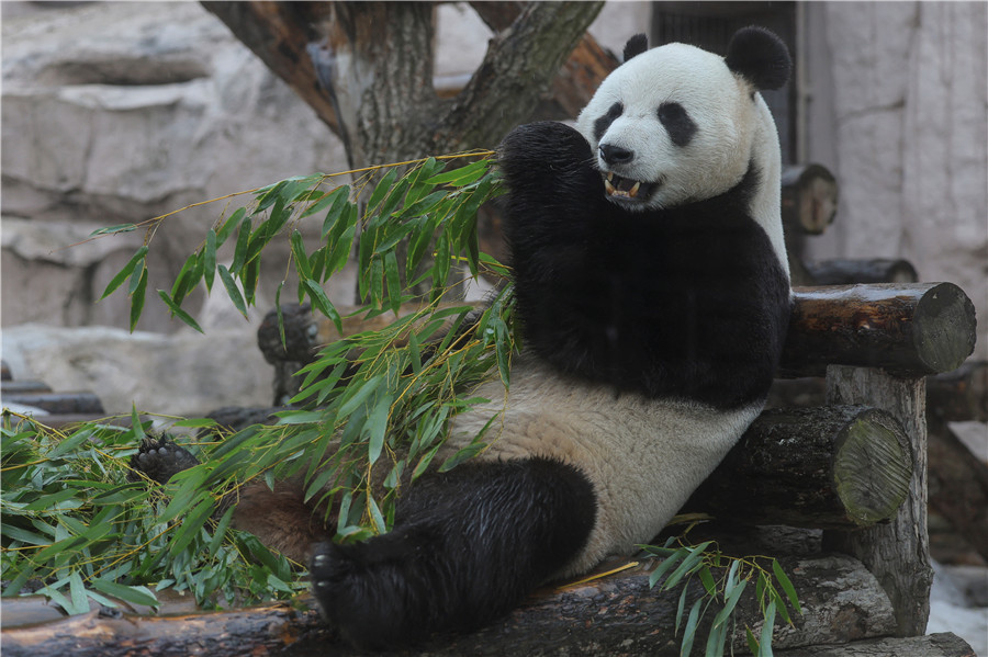 ICphoto(qun)ƷՈD(zhun)d