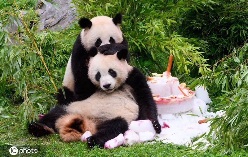 ICphoto(qun)ƷՈD(zhun)d