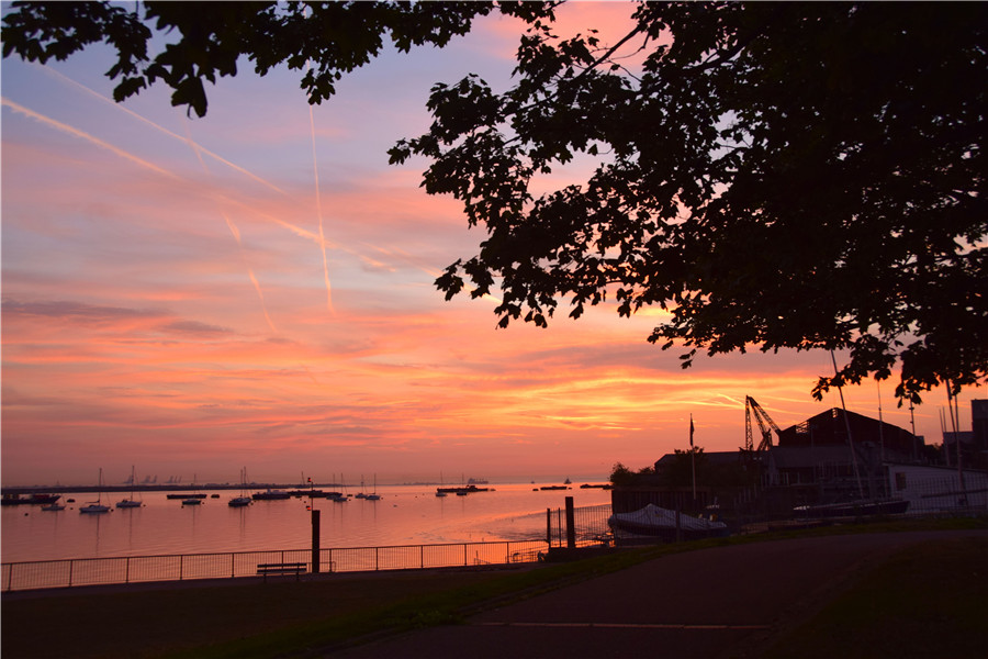 ICphoto(qun)ƷՈ(qng)D(zhun)d