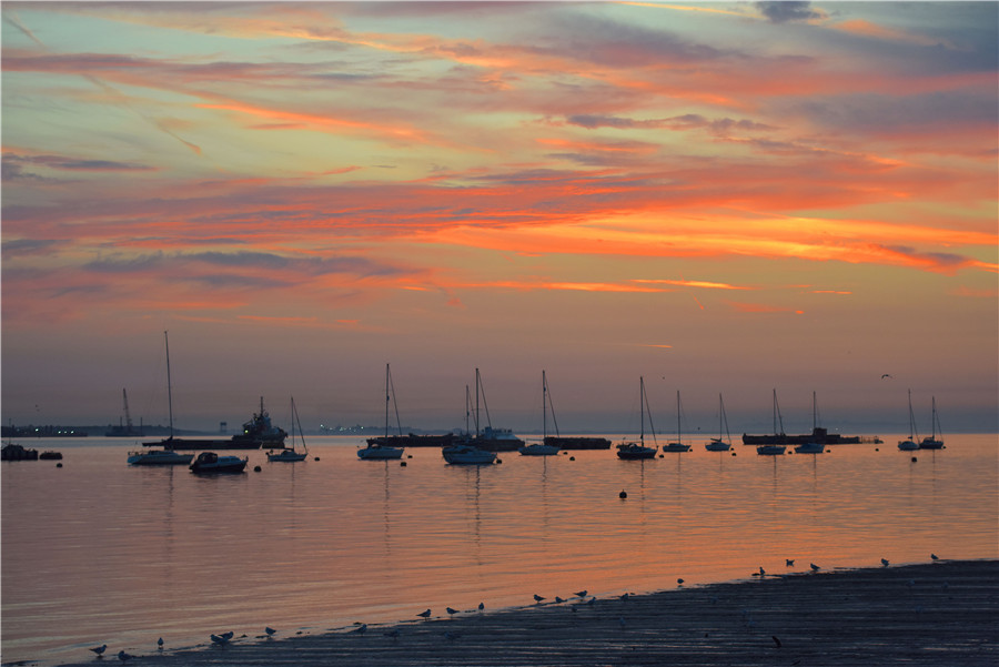 ICphoto(qun)ƷՈ(qng)D(zhun)d