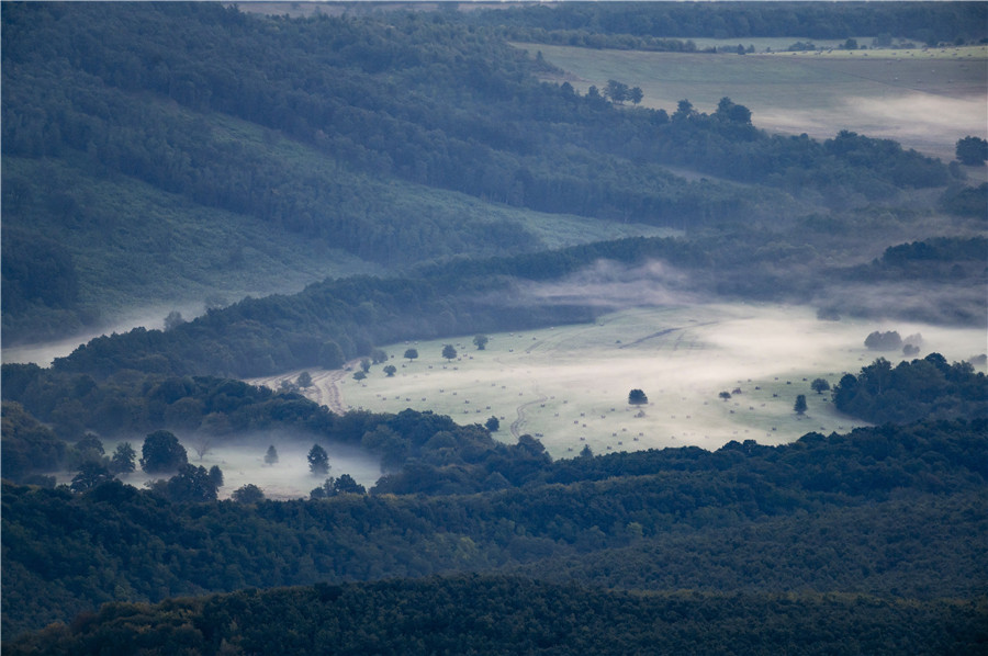 ICphoto(qun)ƷՈD(zhun)d