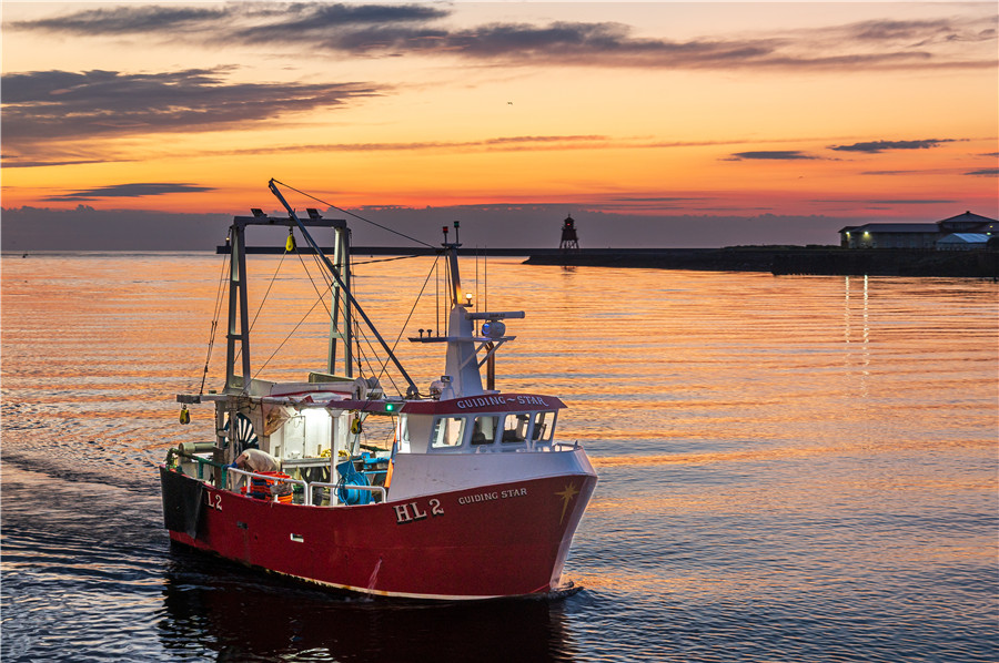 ICphoto(qun)ƷՈ(qng)D(zhun)d