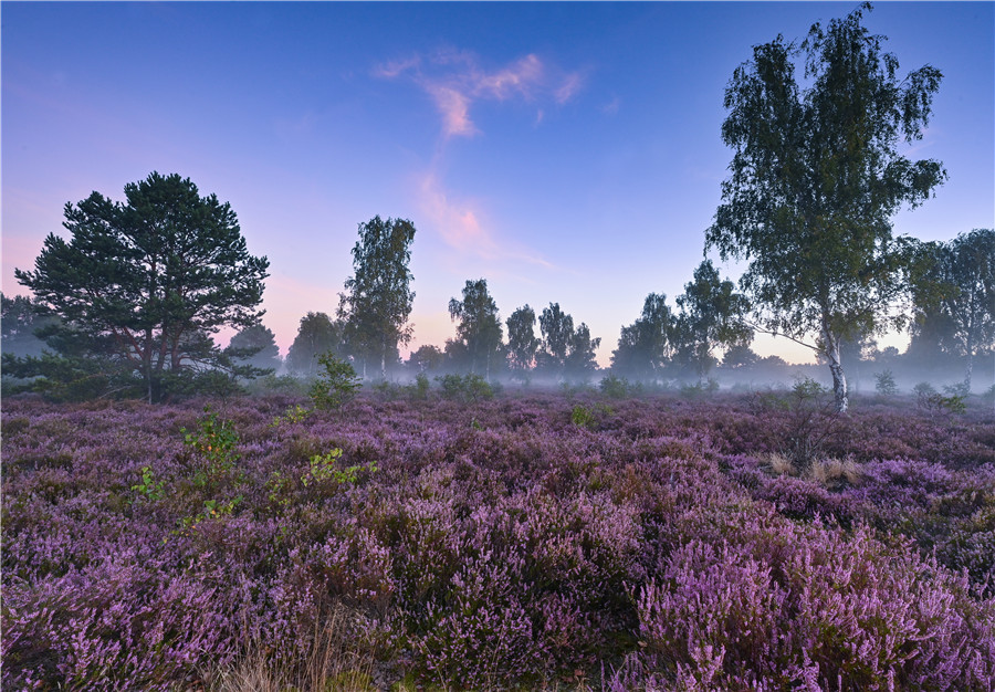 ICphoto(qun)ƷՈD(zhun)d