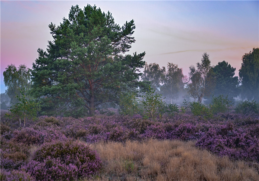 ICphoto(qun)ƷՈD(zhun)d