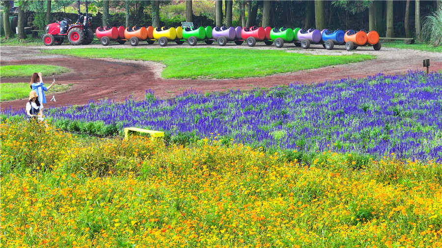 ICphoto(qun)ƷՈD(zhun)d 