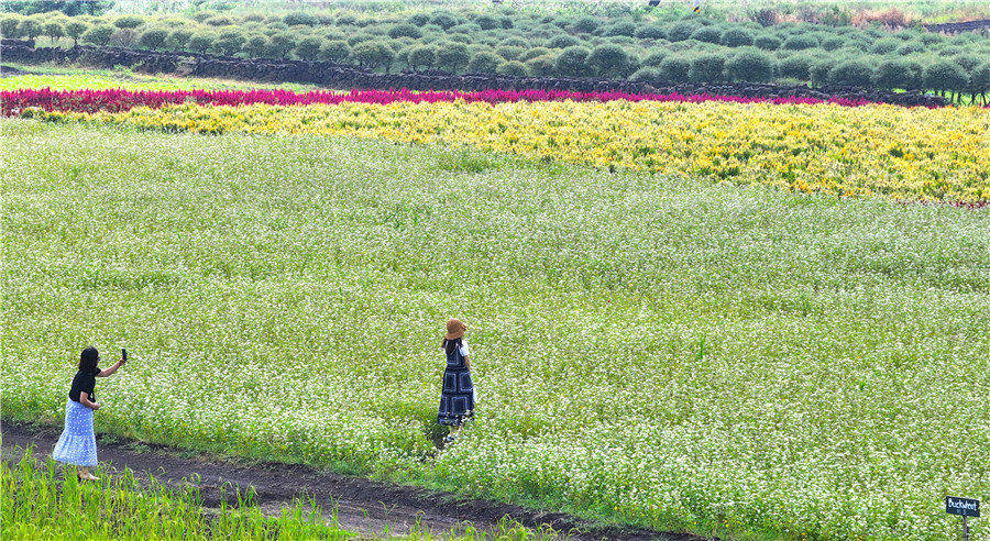 ICphoto(qun)ƷՈD(zhun)d 