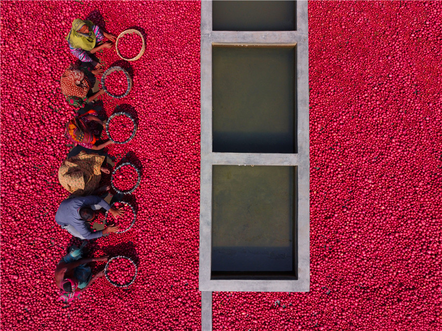 ICphoto(qun)ƷՈ(qng)D(zhun)d