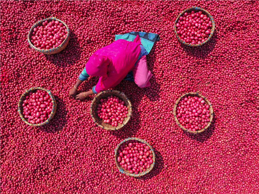 ICphoto(qun)ƷՈ(qng)D(zhun)d