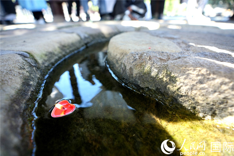 Dˮ^(gu)ġġϞTW(wng) Riz