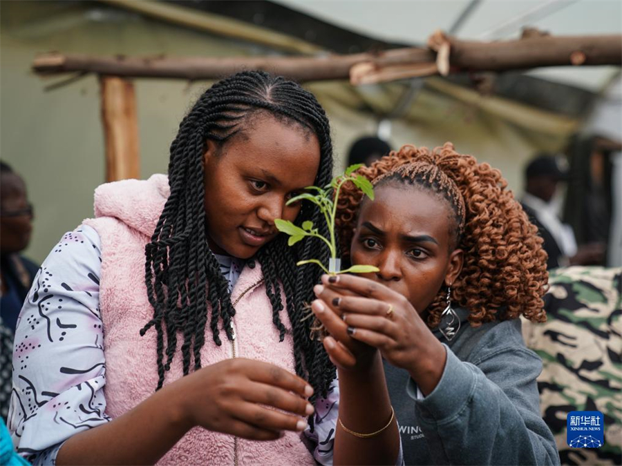 918ڿ၆{R̹_ϷW(xu)TڌW(xu)(x)r(nng)I(y)g(sh)Aӛ n z