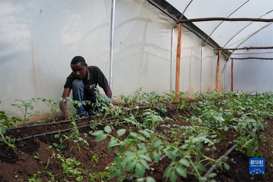 917ڿ၆{R̹_?sh)rһ̎ѷNֲ@ȄAӛ n z