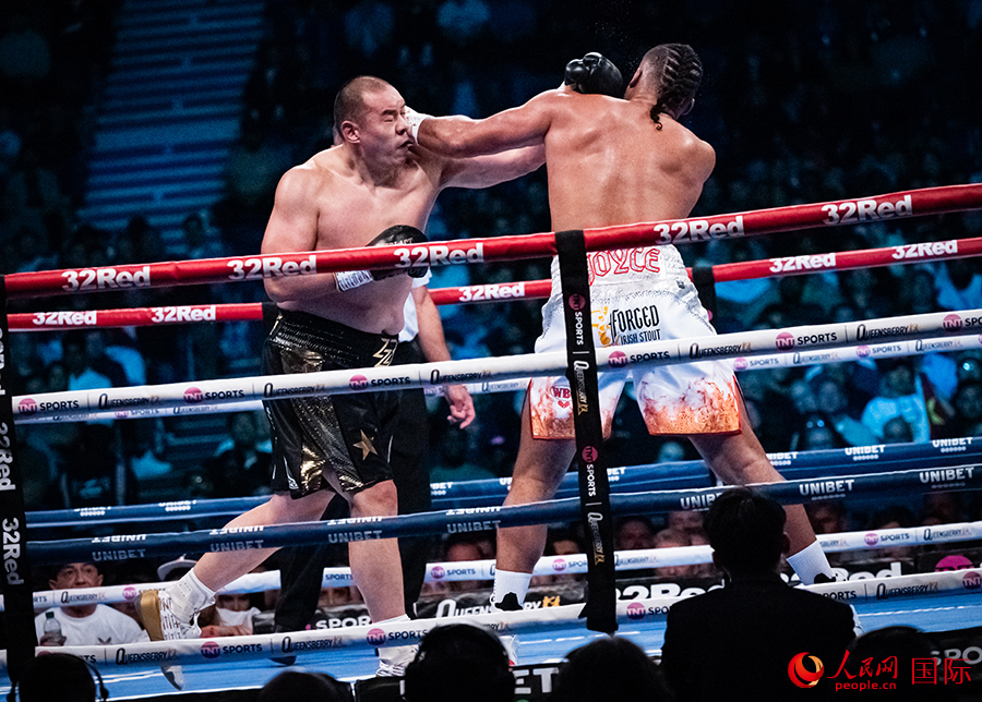 ־ڌ(zhn)˹W(wng) \˔z