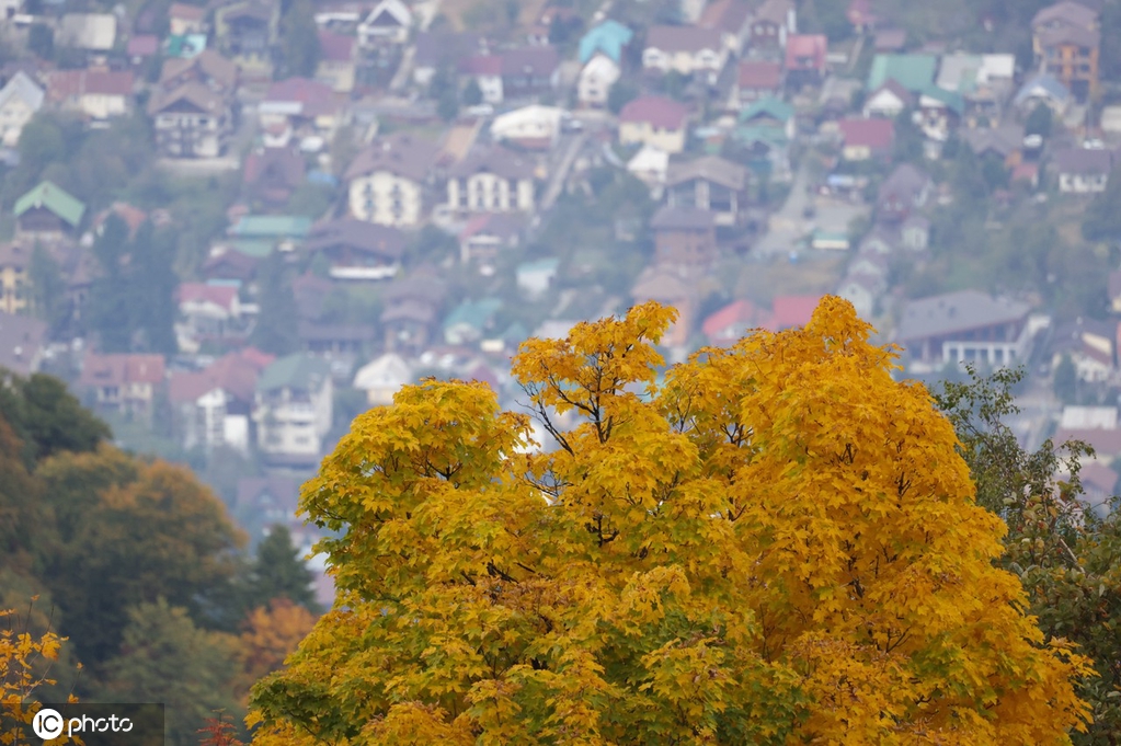 IC photo(qun)ƷՈD(zhun)d