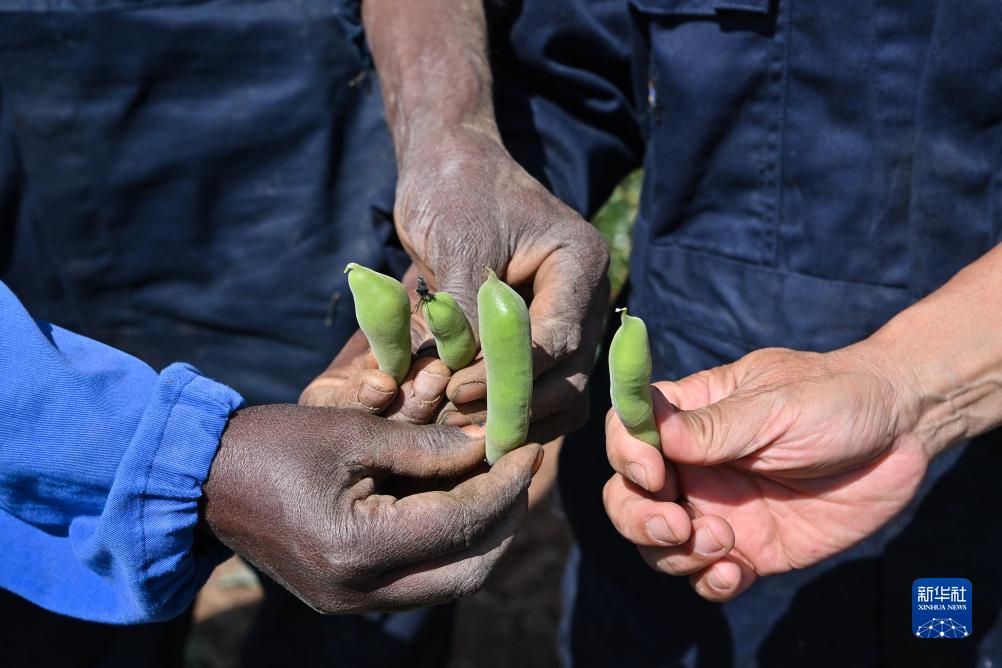 927λڶ˹Rr(nng)I(y)g(sh)Ԯ(xing)ĿʾЇ(gu)Ԯڸ߼(j)r(nng)I(y)ҽM҄\(yn)һc(dng)?sh)r(nng)Ȍ(du)QL(zhng)B(ti)Aӛ n z