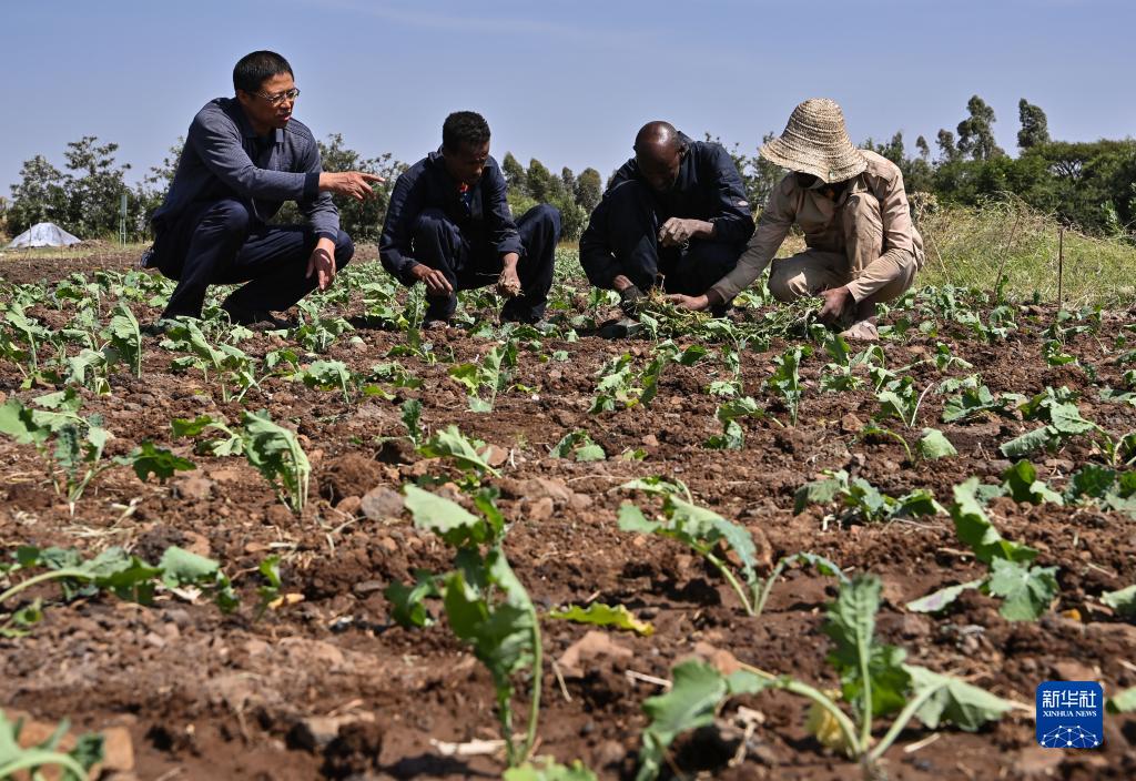 927λڶ˹Rr(nng)I(y)g(sh)Ԯ(xing)ĿʾЇ(gu)Ԯڸ߼(j)r(nng)I(y)ҽMܳɣһָ(do)(dng)?sh)r(nng)NֲͲAӛ n z