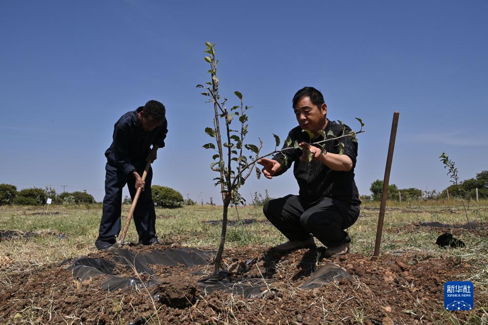 927λڶ˹Rr(nng)I(y)gԮĿʾЇԮڸ߼r(nng)I(y)ҽMңc?sh)r(nng)ͬMOgAӛ n z