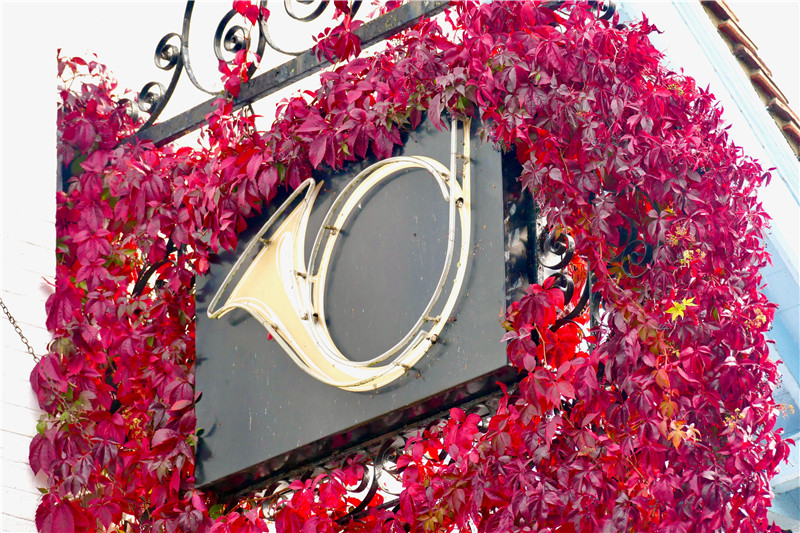 IC photo(qun)ƷՈD(zhun)d