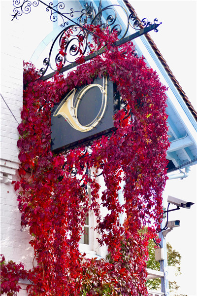 IC photo(qun)ƷՈ(qng)D(zhun)d