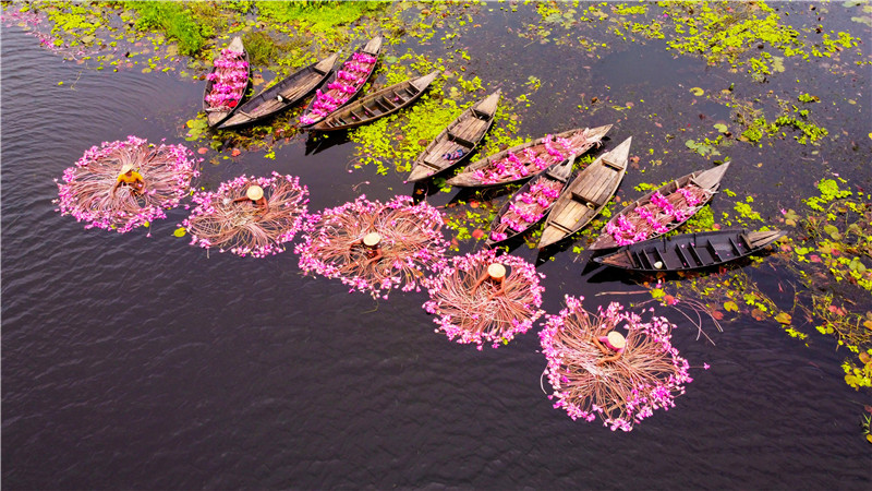 IC photo(qun)ƷՈ(qng)D(zhun)d