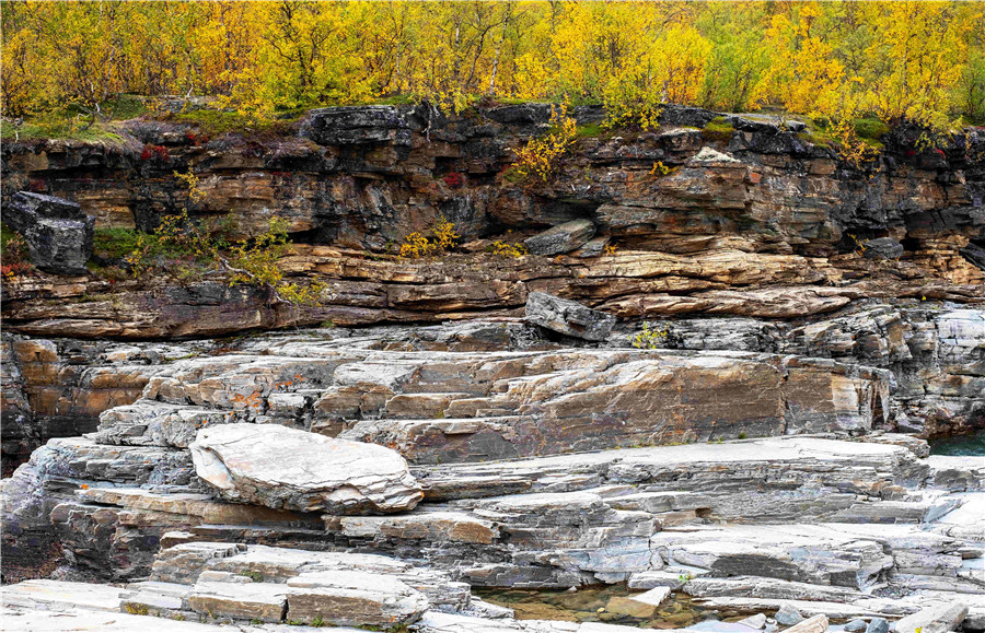 ICphoto(qun)ƷՈD(zhun)d