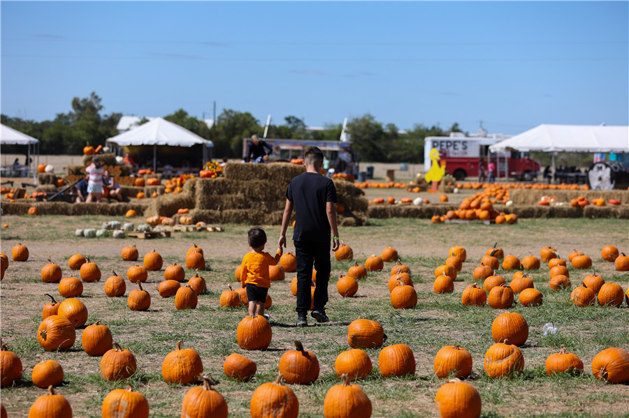 ICphoto(qun)ƷՈ(qng)D(zhun)d