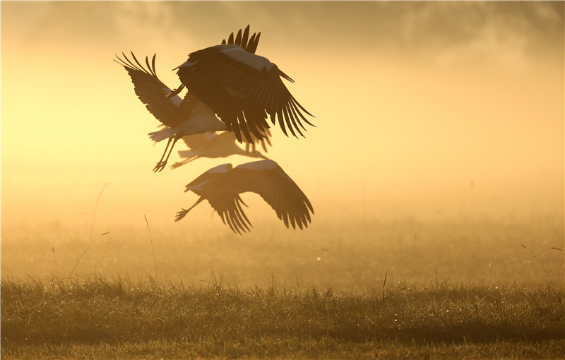 ICphoto(qun)ƷՈD(zhun)d