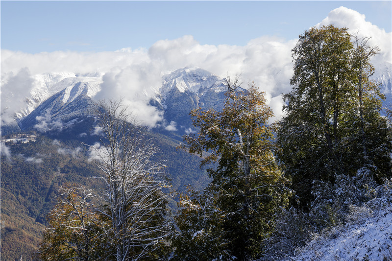 ICphotoƷՈD(zhun)d