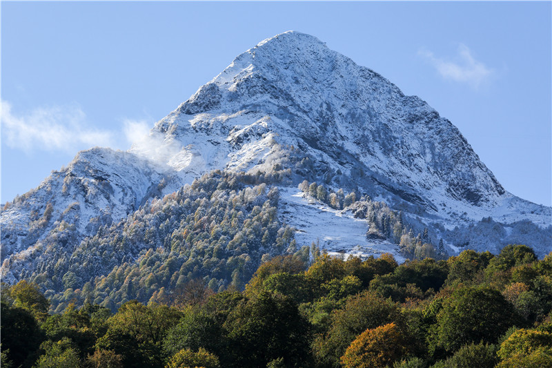 ICphoto(qun)ƷՈD(zhun)d