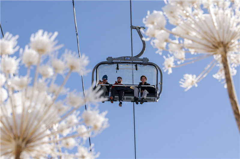 ICphoto(qun)ƷՈD(zhun)d