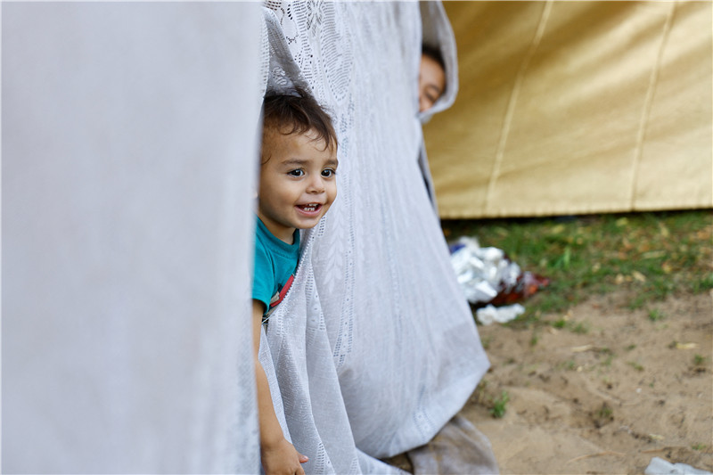 ICphoto(qun)ƷՈ(qng)D(zhun)d