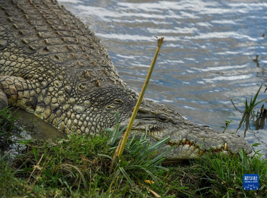 @1015ڿ၆_ҹ@Ĕz{~