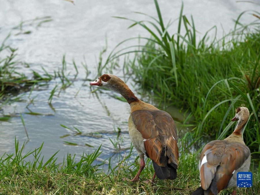 @1015ڿ၆(ni)_ҹ@Ĕzİ㡣