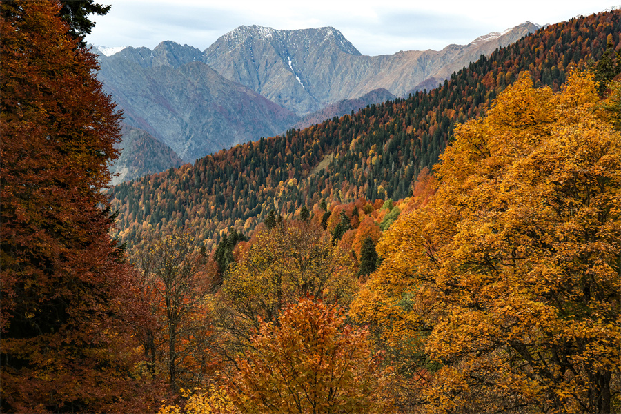 IC photo(qun)ƷՈD(zhun)d